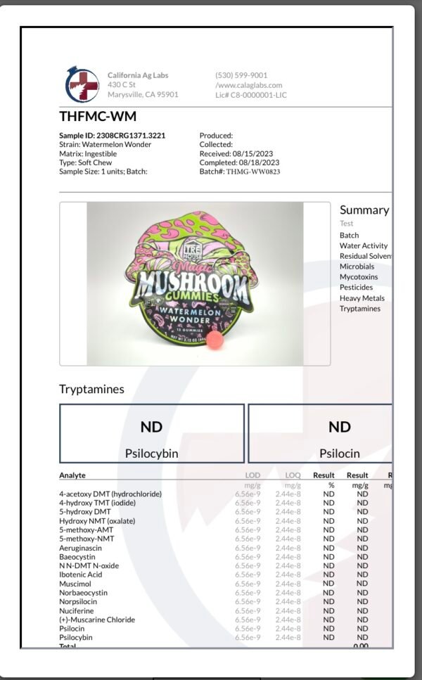 Watermelon Wonder Tre House Magic Mushroom Gummies - Image 2