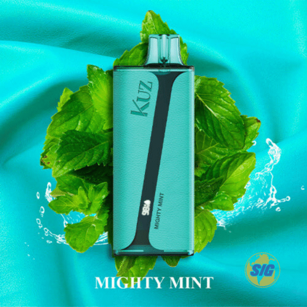 Kuz 9000 Puff Disposable Vape - Image 5