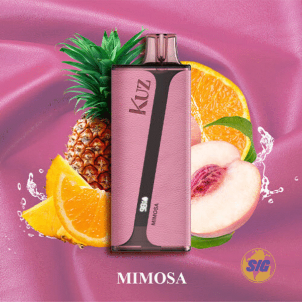 Kuz 9000 Puff Disposable Vape - Image 6