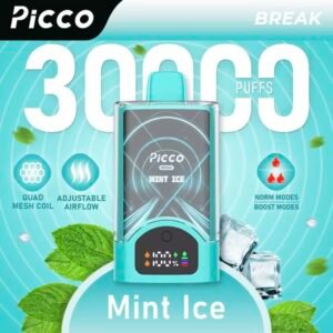 Picco Break 30000 Puffs – Mint Ice