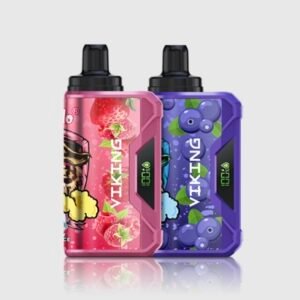 VapSolo VIKING 12000 Puffs – Pack 2 items