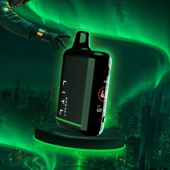 LITL SNEAKY - Image 7